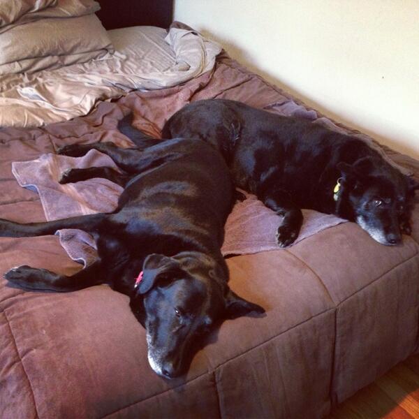 Sage and Ruby - 2013 - Sleeping in